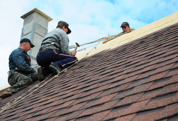 Quick and Trustworthy Emergency Roof Repair Services in One Loudoun, VA